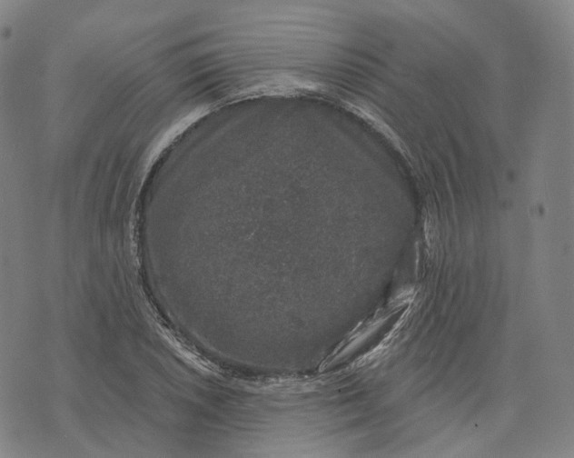 X0000074261026200609151756