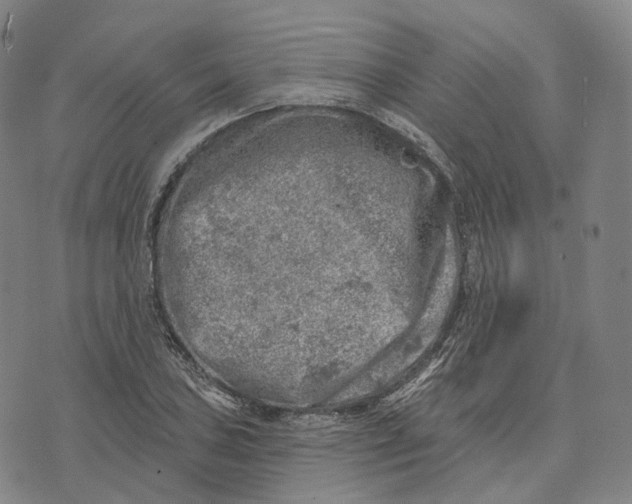 X0000074261027200609151756