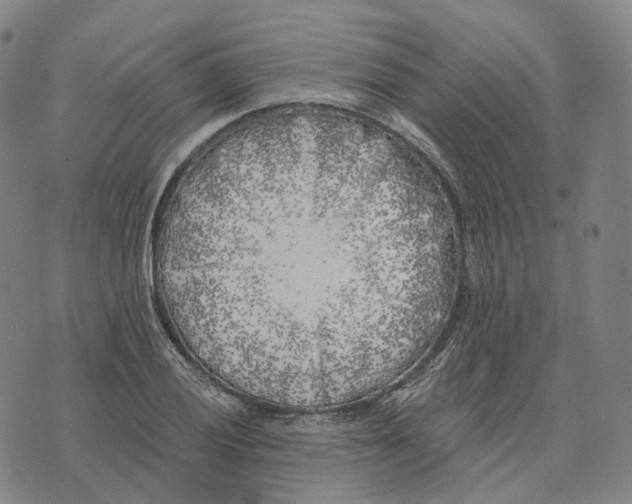 X0000074261028200609151756