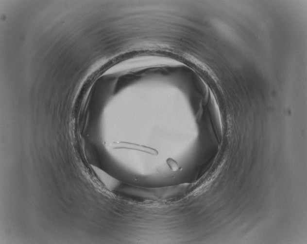 X0000074261029200609151756