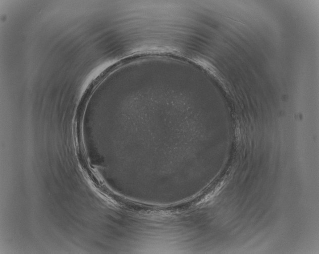 X0000074261030200609151756