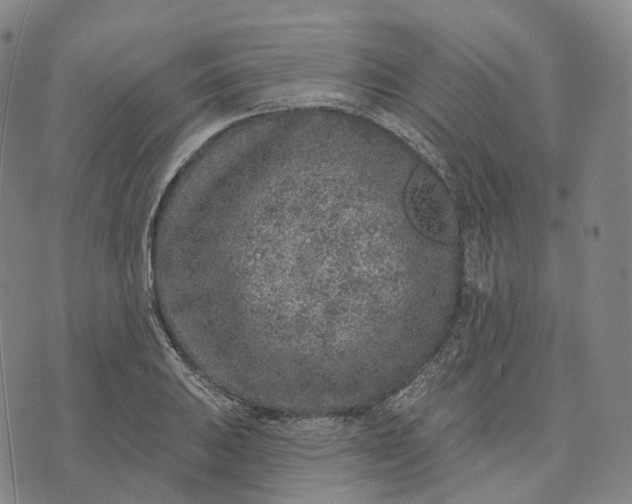 X0000074261031200609151756