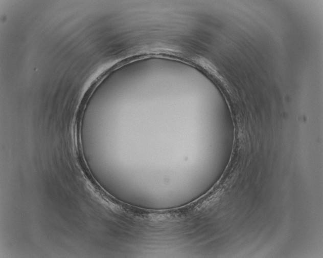 X0000074261032200609151756