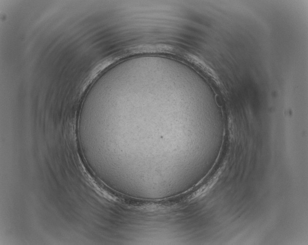 X0000074261033200609151756