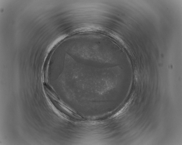 X0000074261034200609151756