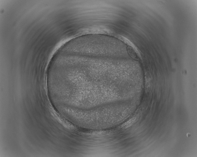 X0000074261035200609151756