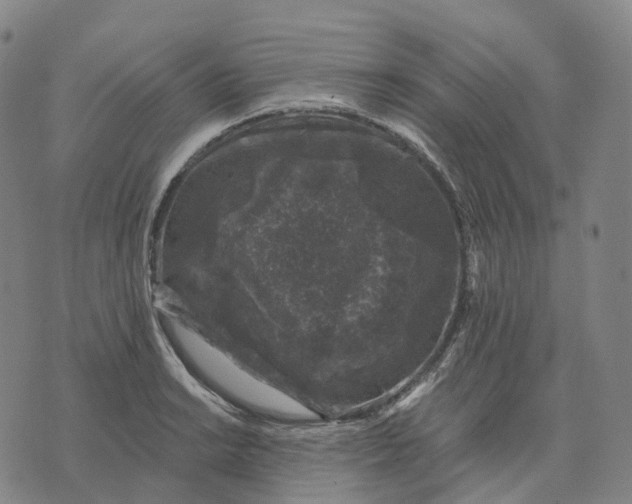 X0000074261038200609151756