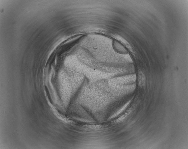 X0000074261039200609151756