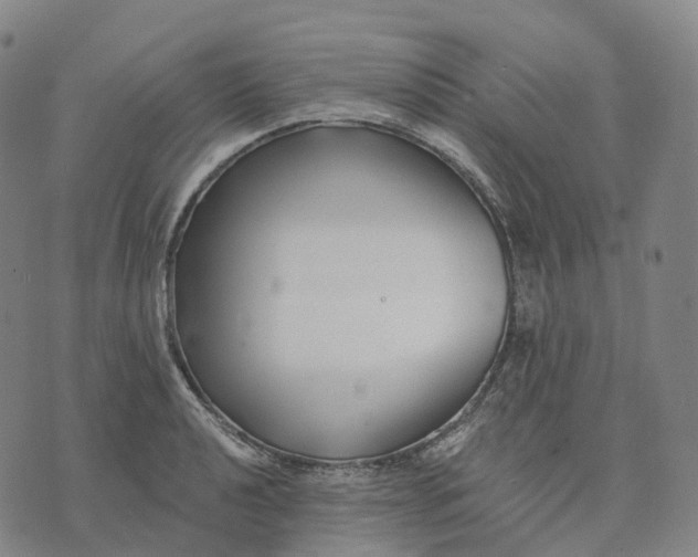 X0000074261040200609151756