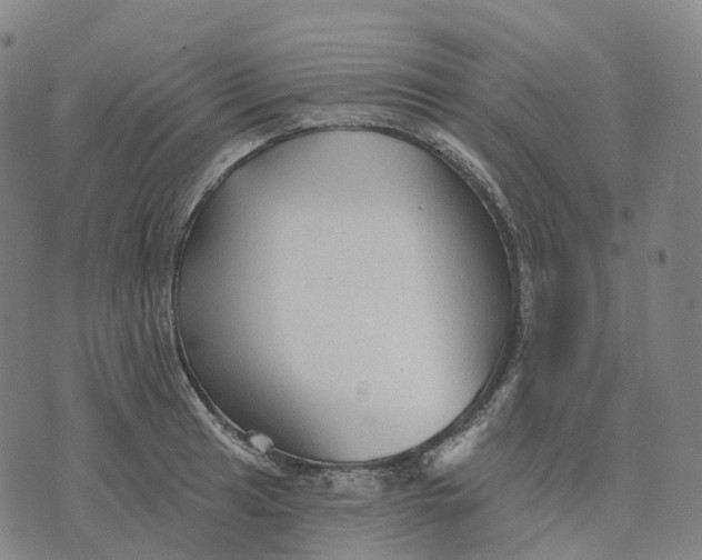 X0000074261041200609151756