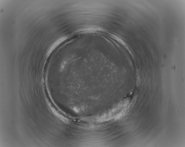 X0000074261042200609151756