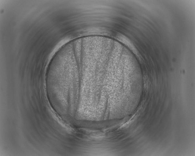 X0000074261043200609151756