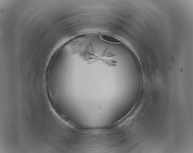 X0000074261045200609151756