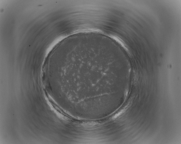 X0000074261046200609151756