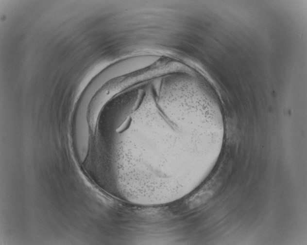 X0000074261048200609151756