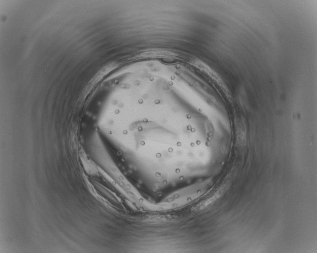 X0000074261049200609151756