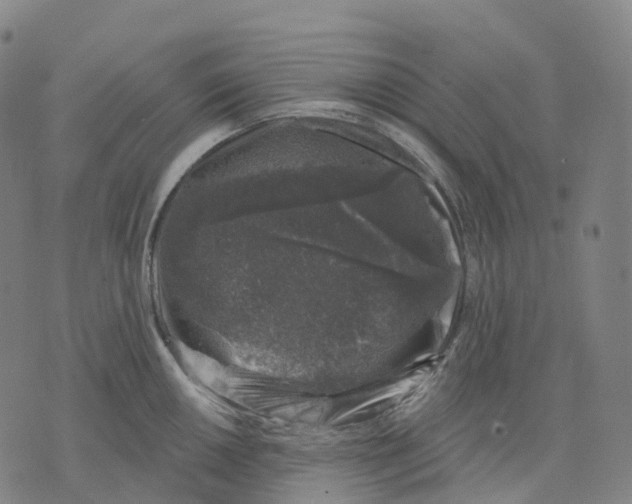 X0000074261050200609151756