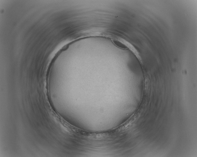 X0000074261051200609151756