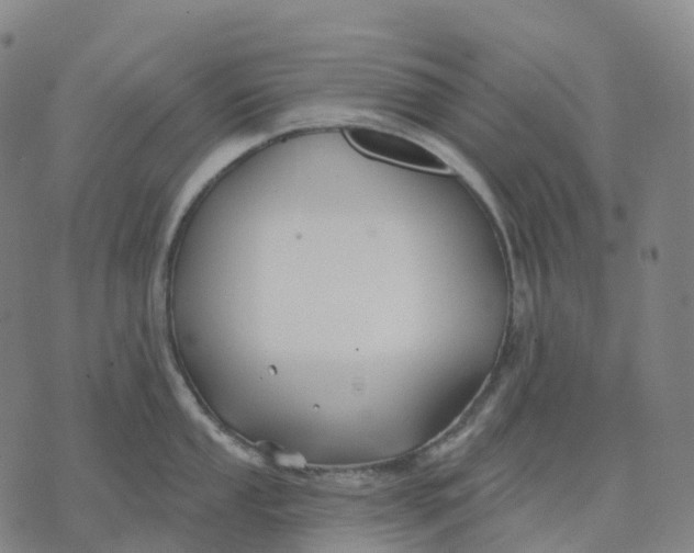 X0000074261053200609151756