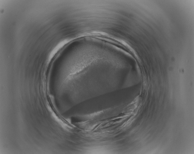 X0000074261054200609151756