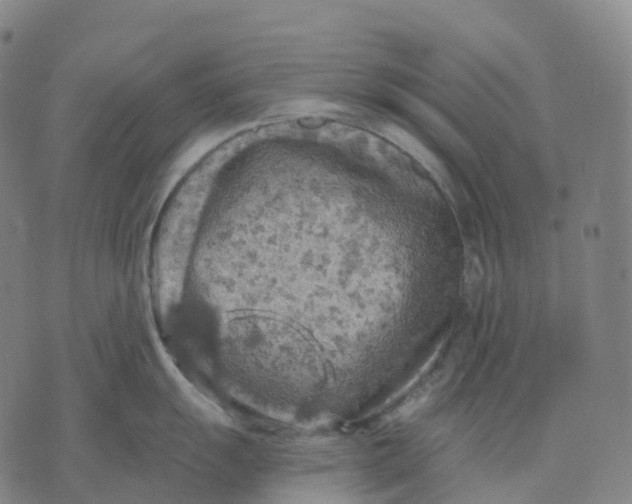 X0000074261055200609151756