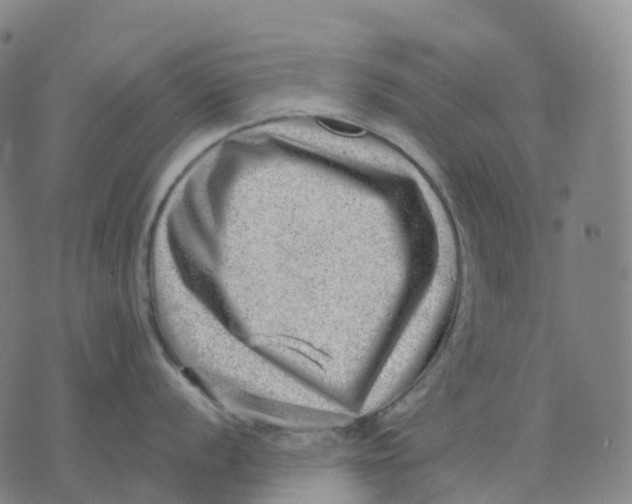 X0000074261056200609151756