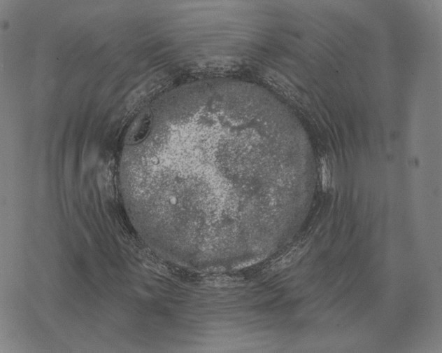 X0000074261059200609151756