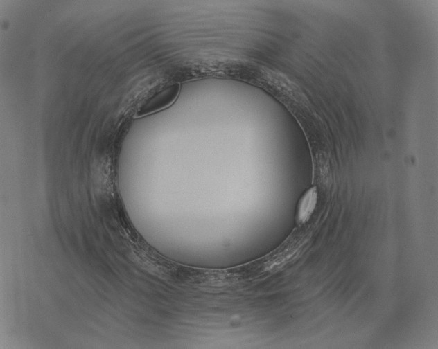 X0000074261060200609151756