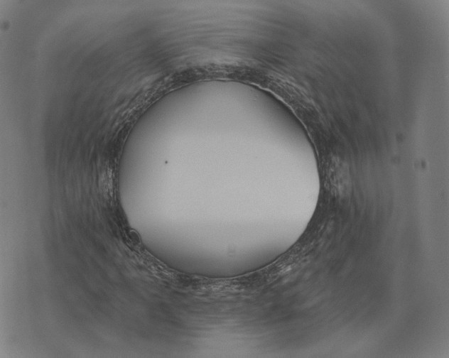 X0000074261061200609151756