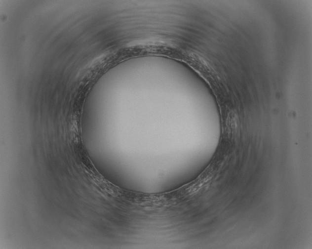 X0000074261062200609151756