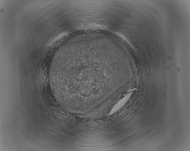 X0000074261063200609151756