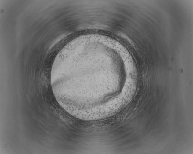 X0000074261064200609151756