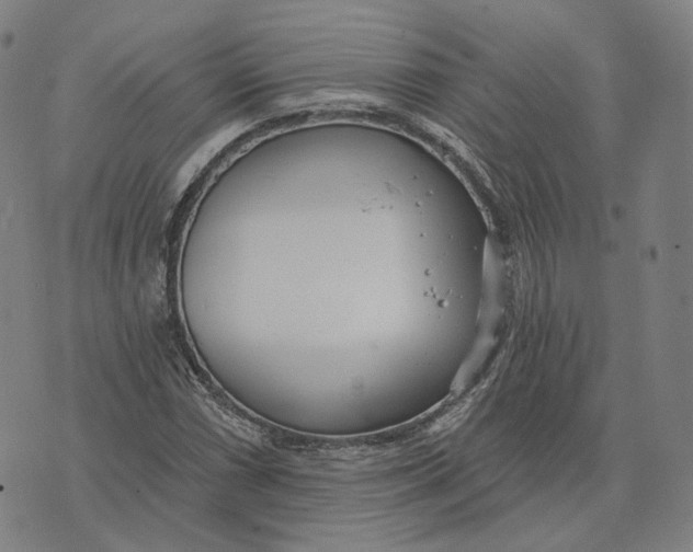 X0000074261066200609151755