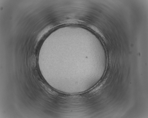 X0000074261067200609151755