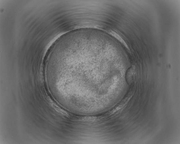 X0000074261068200609151755