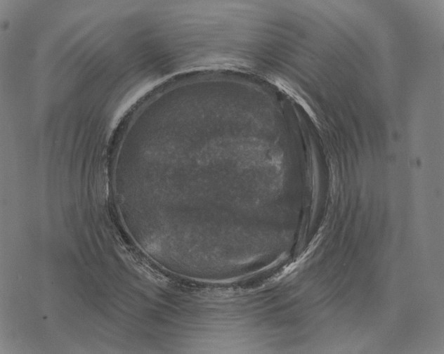 X0000074261069200609151755