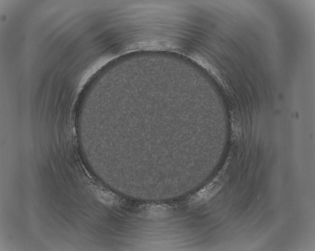 X0000074261070200609151755