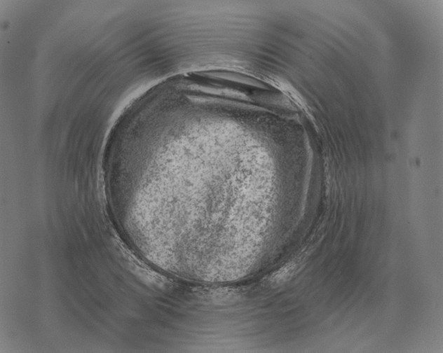 X0000074261072200609151755