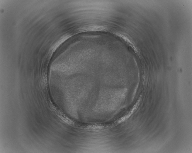 X0000074261073200609151755