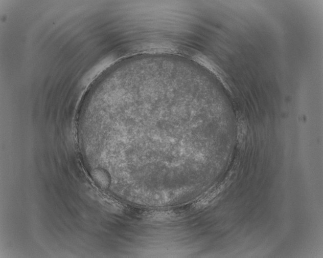 X0000074261074200609151755