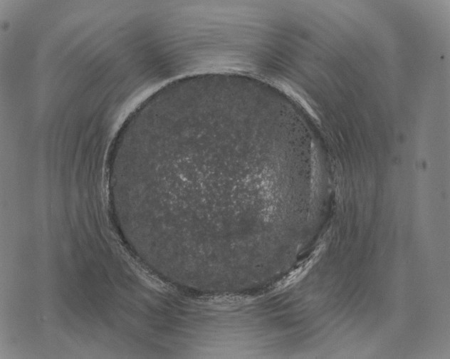 X0000074261077200609151755