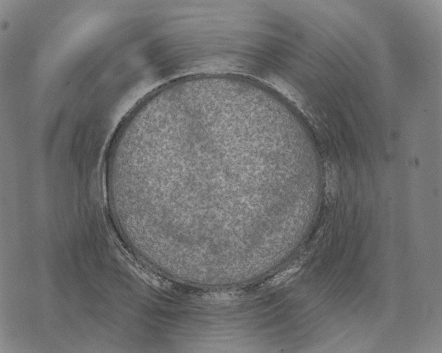 X0000074261078200609151755