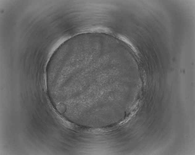 X0000074261079200609151755