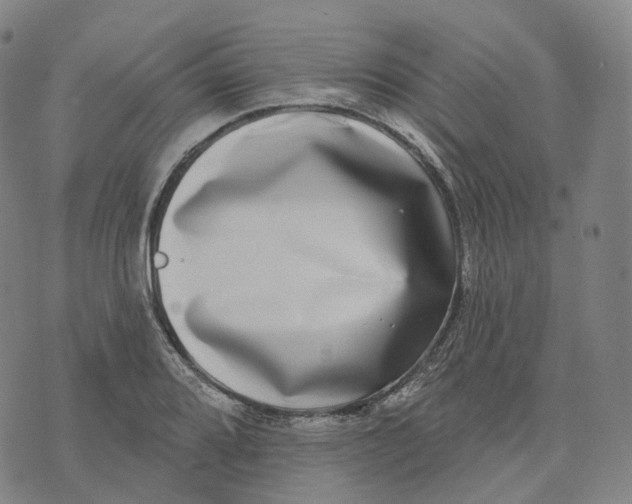 X0000074261080200609151755