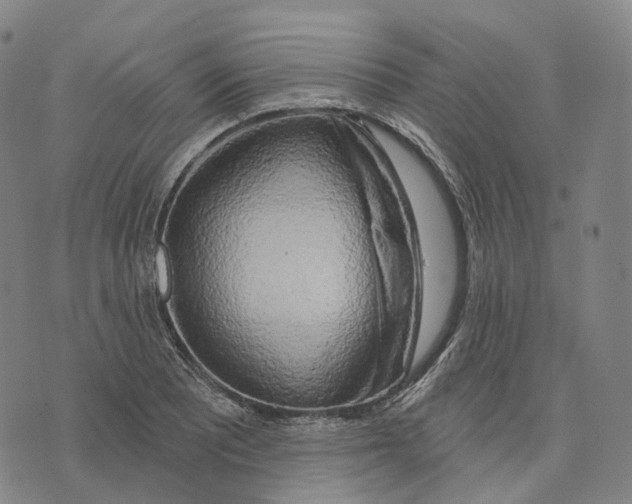 X0000074261081200609151755