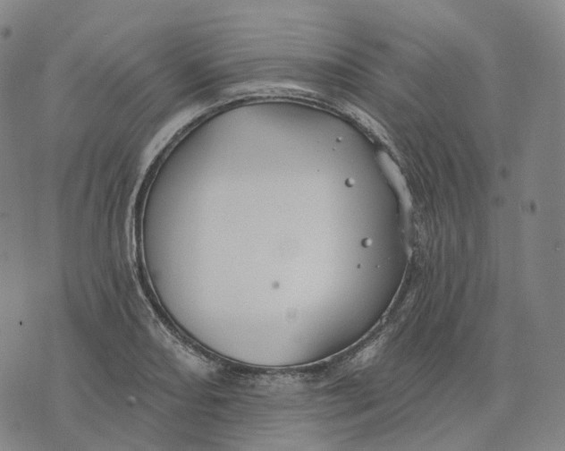 X0000074261082200609151755