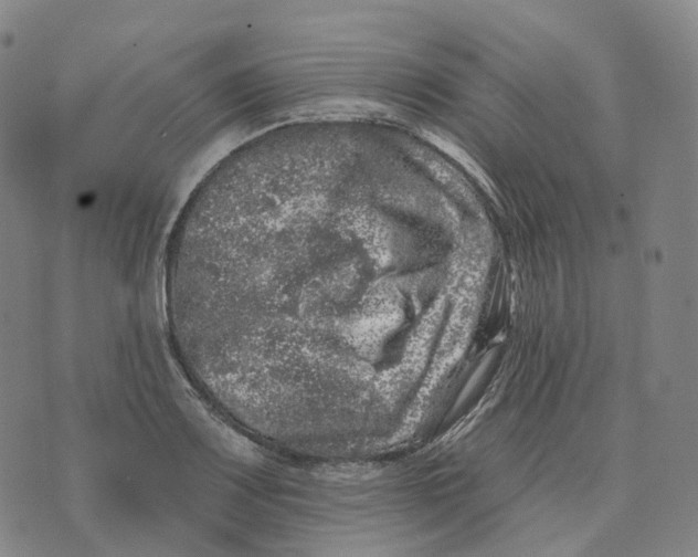 X0000074261083200609151755