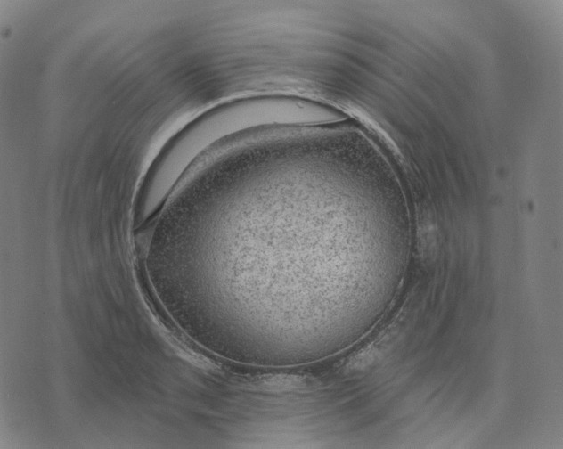 X0000074261085200609151755