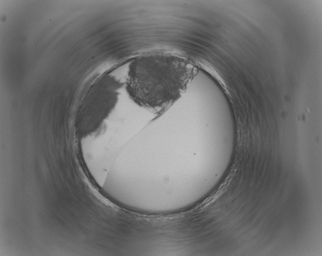 X0000074261087200609151755