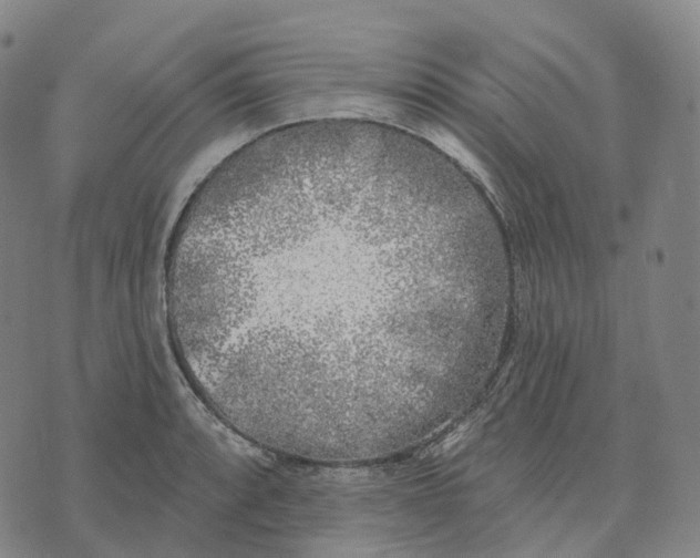 X0000074261088200609151755